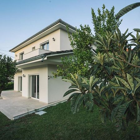 Prestigio Home Alvito  Extérieur photo