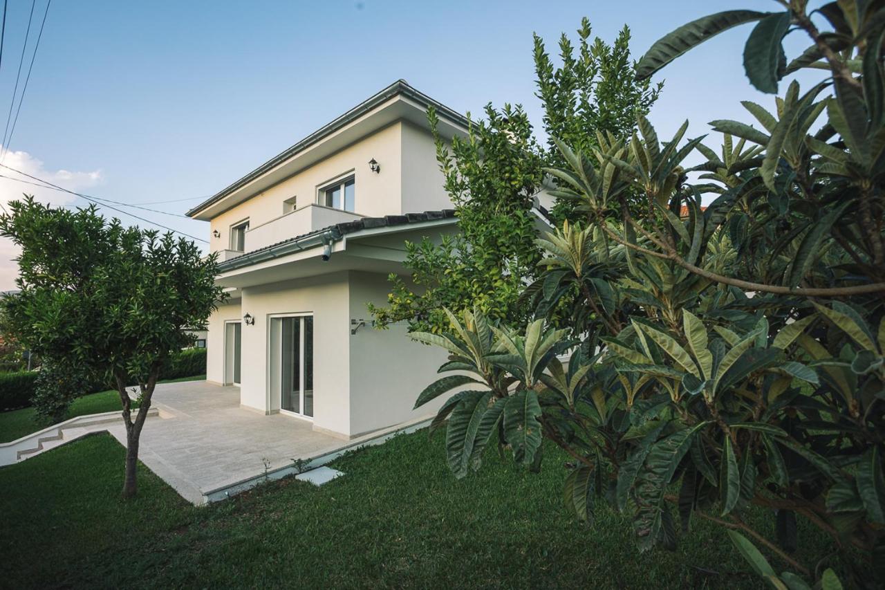 Prestigio Home Alvito  Extérieur photo